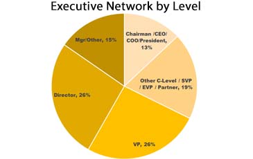 Executive Network by Level